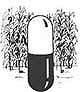 A pill-sized capsule contains enough of a new biological insecticide to protect an acre of cotton from Heliothis caterpillars.